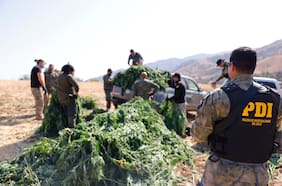 Las rutas terrestres del narco: desde el contrabando por el altiplano a la explosión de cultivo local