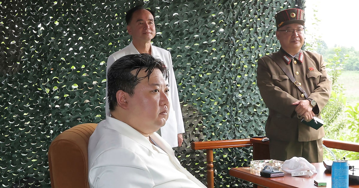 Corea del Norte acelera su salto tecnológico militar: drones suicidas con inteligencia artificial en el centro del tablero