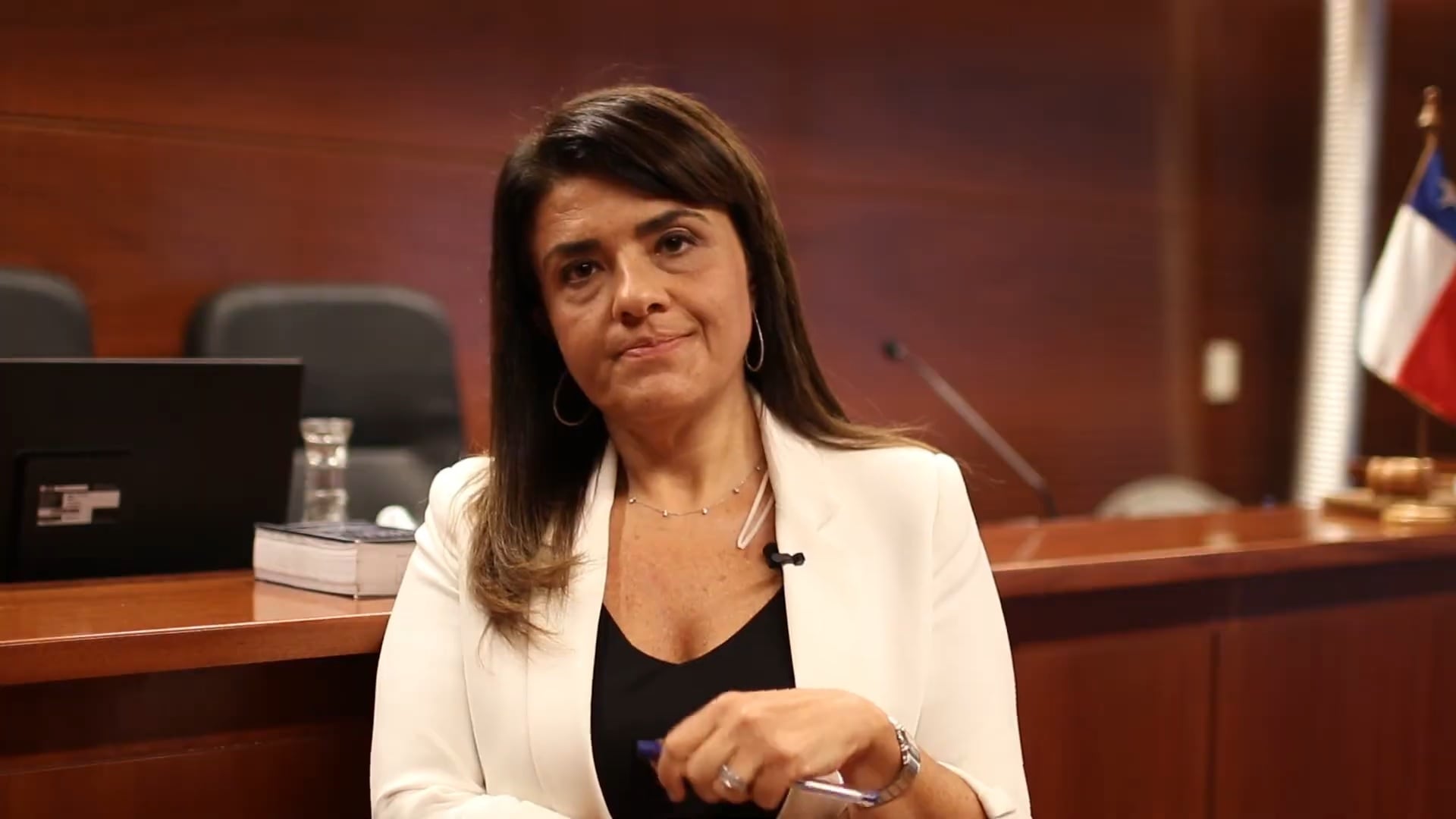 Verónica Sabaj explica el origen de su acercamiento a Hermosilla: “Temía que me bloqueara en la postulación al cargo”