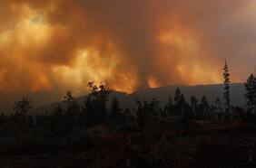 Incendios forestales dejan cuatro fallecidos y más de 810 hectáreas devastadas: 10 siniestros siguen en combate en siete regiones
