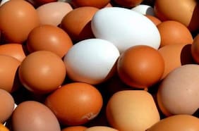 ¿Por qué los huevos de color son más caros que los blancos?