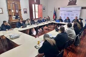 Tras Cogrid provincial: autoridades de Los Andes llaman a reforzar medidas de prevención contra zancudo que transmite el dengue