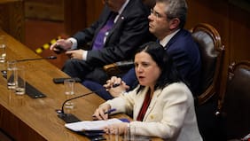 Steinert ante la Cámara de Diputados: cita logros como fiscal y anuncia plan de seguridad en “las próximas semanas”