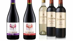 La disputa marcaria por el vino “Picunche” exportado a Rusia