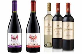 La disputa marcaria por el vino “Picunche” exportado a Rusia