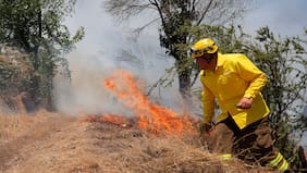 Región Metropolitana en alerta preventiva por alto riesgo de incendios forestales ante ola de calor