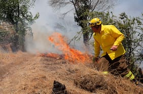 Senapred realiza balance de incendios forestales: 15 se encuentran en combate a nivel nacional