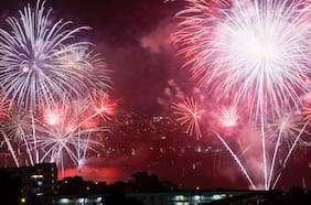 Cómo contener a tu perro durante los fuegos artificiales de Año Nuevo, según un veterinario