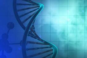 Primer éxito mundial de la biomedicina chilena: terapia génica para tratar enfermedades neurodegenerativas es exportada a Europa