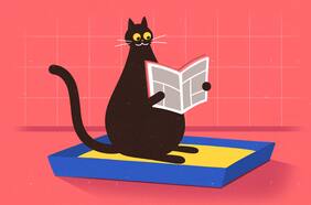 Cuál es la mejor arena para gatos (y cómo usarla correctamente)