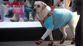 Anuncian el retorno de la lluvia a la Región Metropolitana: cuándo y en qué sectores habrá precipitaciones