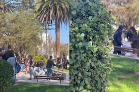 Personal municipal fue agredido y detenidos son escolares: qué se sabe de la riña que dejó un joven fallecido en Melipilla