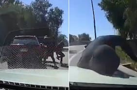 Delincuente quiso hacer una encerrona y terminó atropellado: Fiscalía investiga robo con intimidación tras ataque en Quilicura