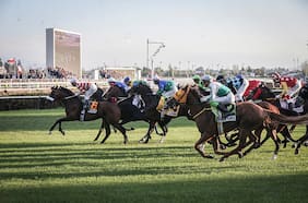 Rey Hotu: laboratorio enfrenta querella por presunta distribución de “peligroso” medicamento para caballos