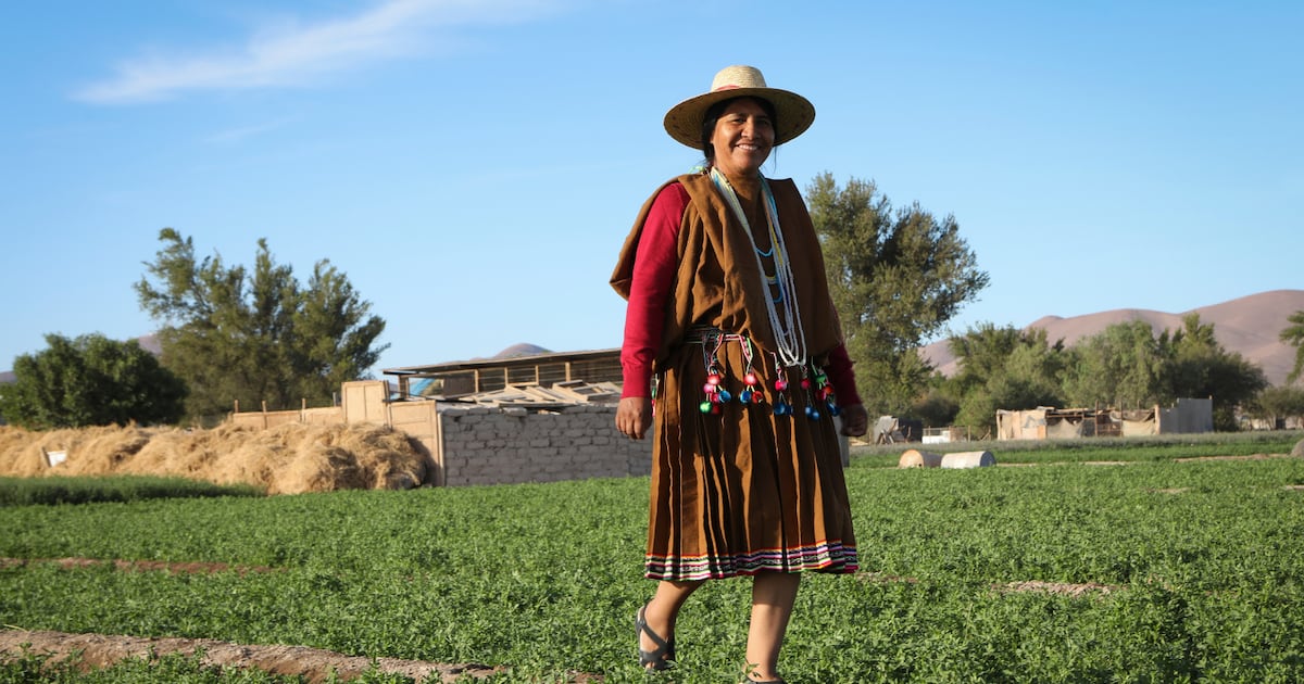 Gloria Mamani Vilches: La joven experta
