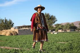 Gloria Mamani Vilches: La joven experta