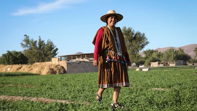 Gloria Mamani Vilches: La joven experta