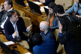 Diputados desde la DC al PC se adelantan a “agenda de mínimos comunes” y anuncian reforma de renta básica universal