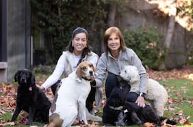 Mi mascota y yo: ser familia de acogida nos volvió compañeras