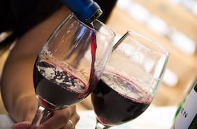 Vendimia del Valle del Maipo 2025: Kramer y Los Vásquez gratis en la fiesta del vino más grande de la RM