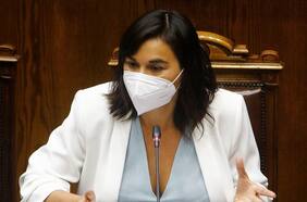 Siches se disculpa por uso del término ‘Wallmapu’: “Si he producido malestar a nivel nacional o trasandino pido todas las excusas correspondientes”