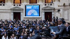Argentina: Cámara de Diputados aprueba las protecciones de Milei a la propiedad privada pero restituye la Ley de Tierras