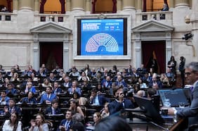Argentina: Cámara de Diputados aprueba las protecciones de Milei a la propiedad privada pero restituye la Ley de Tierras