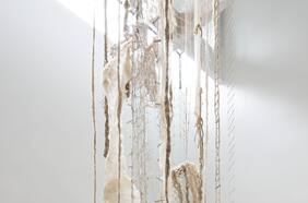 Arte y micología: nueva exhibición de Cecilia Vicuña incluye obra colaborativa