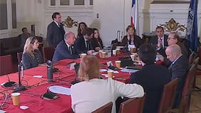 Megarreforma: Comisión de Medio Ambiente votará este martes más de 200 indicaciones
