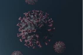 Sudáfrica da la alarma por nueva variante del coronavirus