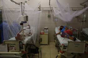 El explosivo aumento en los casos de dengue que puso en alerta a Brasil y Argentina