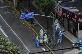 Golpizas a mascotas, perros robots en las calles y aislamiento de niños contagiados: la inquietante cuarentena por Covid en Shanghai