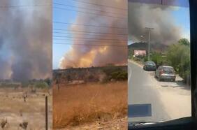 Declaran alerta roja en Papudo por incendio forestal de rápido avance