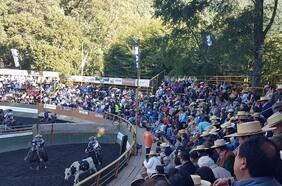 Convocan marcha en 22 ciudades para fomentar “valoración y respeto” al rodeo y otras tradiciones chilenas