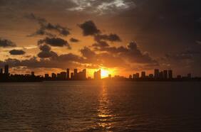 Miami en alerta por rápida y peligrosa expansión de viruela del mono