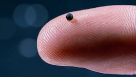 Científicos crean un robot que viaja por la sangre para administrar medicamentos: así es cómo se ve