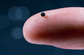 Científicos crean un robot que viaja por la sangre para administrar medicamentos: así es cómo se ve