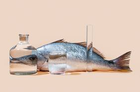 6 excelentes cortes en Mercado Paula