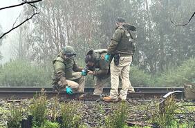 ¿Usaron explosivos?: Labocar levanta evidencia clave desde sitio del suceso donde se destruyeron rieles del tren en Ercilla