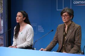 Dudas sobre el financiamiento complican la discusión del proyecto de salud mental del gobierno