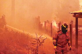 Conaf detecta que 37% de los incendios forestales son intencionales en el país