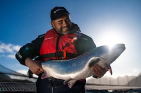 Felipe Briones vende salmonera Pesquera Yadrán a firma japonesa en operación valorada en US$133 millones