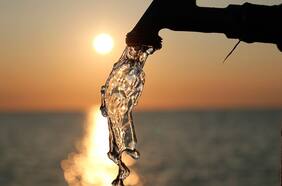 Nueva Constitución y tragedia de los comunes