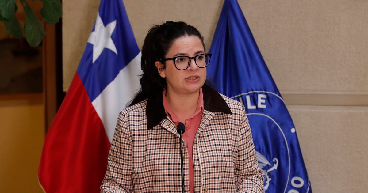 Ministra Orellana valora fallo que revocó libertad condicional de Mauricio Ortega: “Se vulneró el debido proceso”