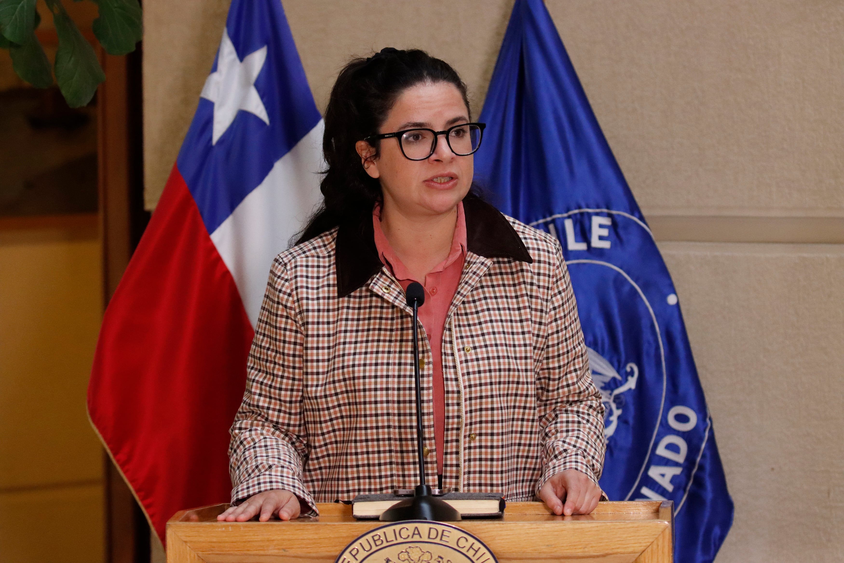 Contraloría fija criterio y prohíbe financiar beneficios extra de Prodemu con fondos públicos. En la imagen Antonia Orellana, exministra de la Mujer.