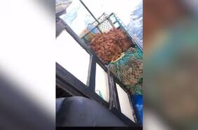 Naufragio en Magallanes: revelan angustiante video que muestra minutos previos al hundimiento de lancha