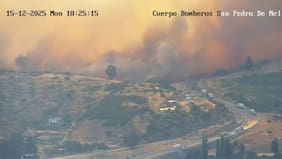 Solicitan evacuar cuatro sectores de San Pedro de Melipilla por incendio forestal cercano a lugares habitados