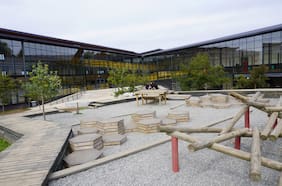 Los otros rankings de la PAES: el top 5 de colegios por región