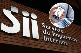 Repatriación de capitales: pese a que SII dará hasta 6 meses para entregar antecedentes, expertos insisten en extender plazo