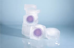 ¿Y qué pasa con quienes sí quieren ser padres?